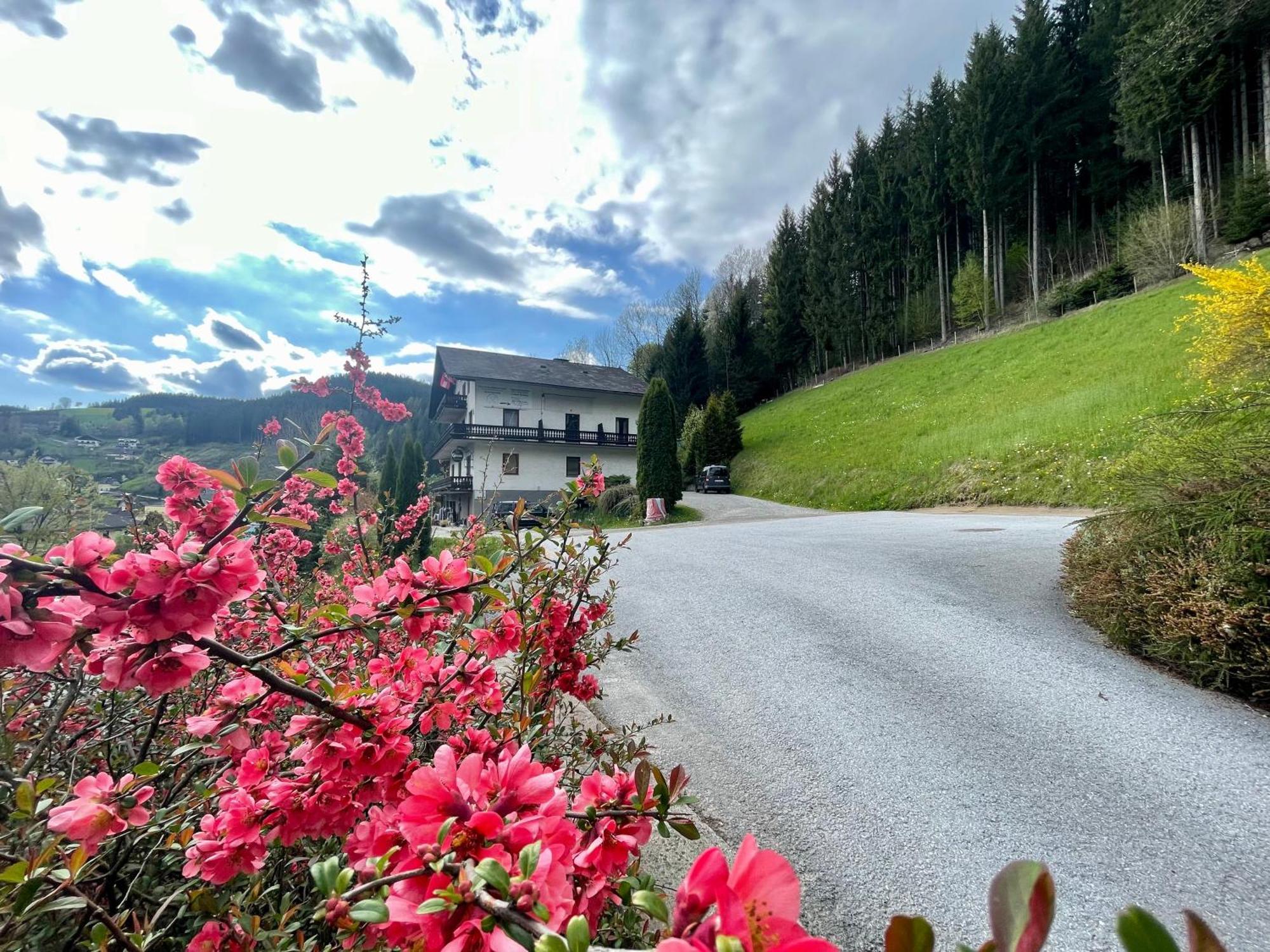 Alpenpension Gasthof Ratten Exteriör bild